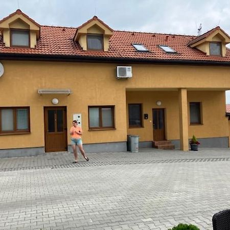 보이니체 Apartmanovy Dom Slavia 아파트 외부 사진
