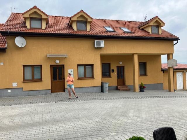 보이니체 Apartmanovy Dom Slavia 아파트 외부 사진